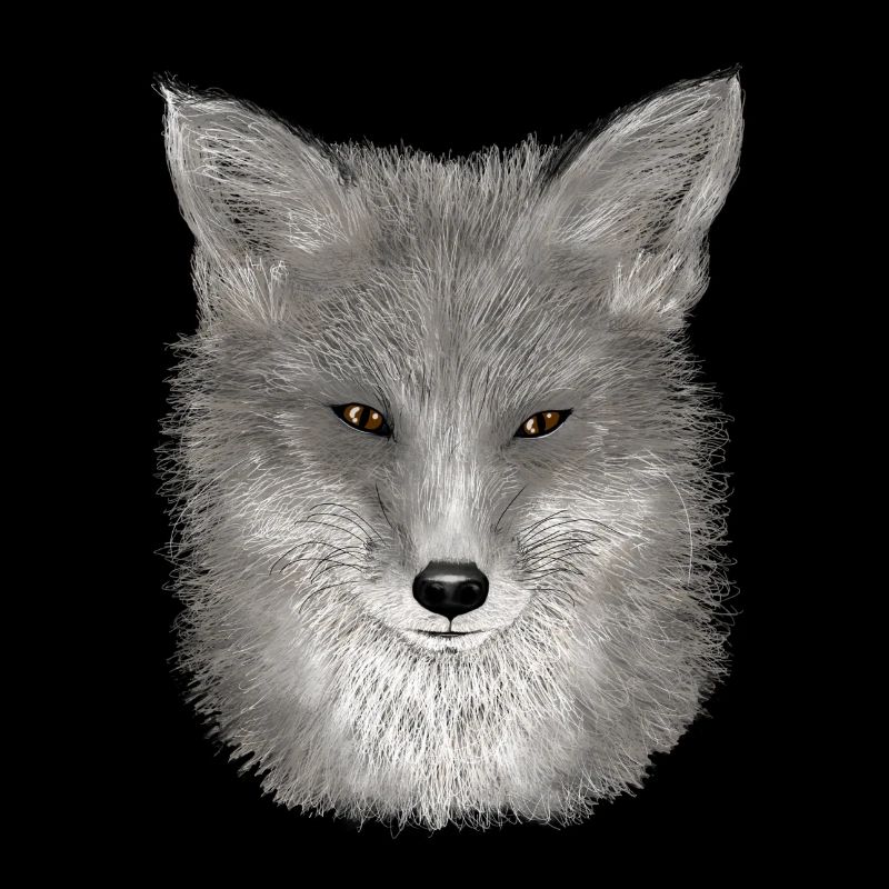 Red Fox