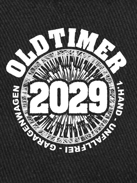 2029
