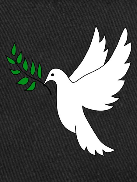 Peace Robbery