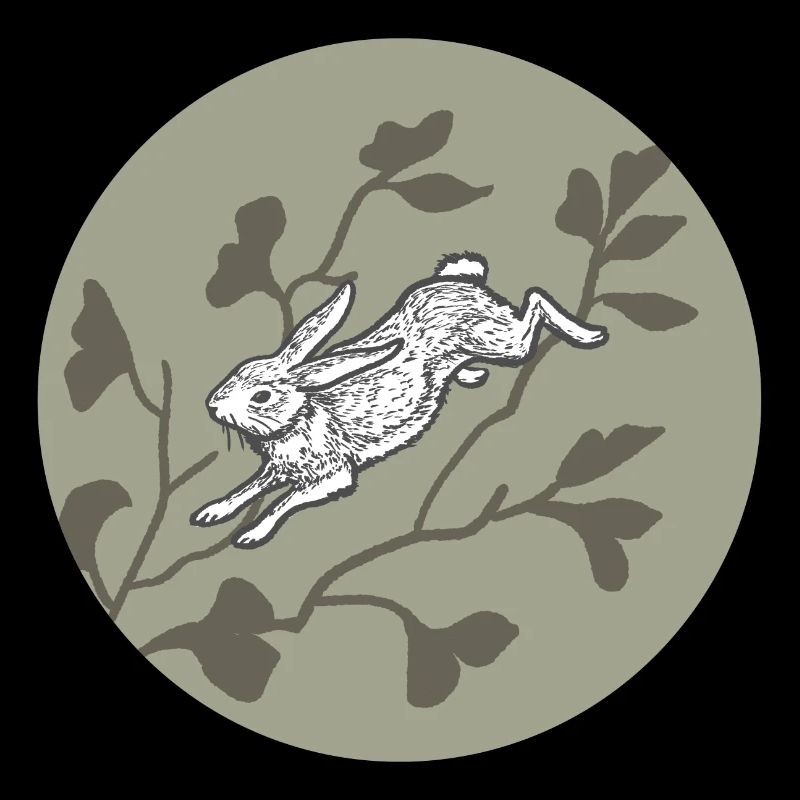 Lapin sur la lune