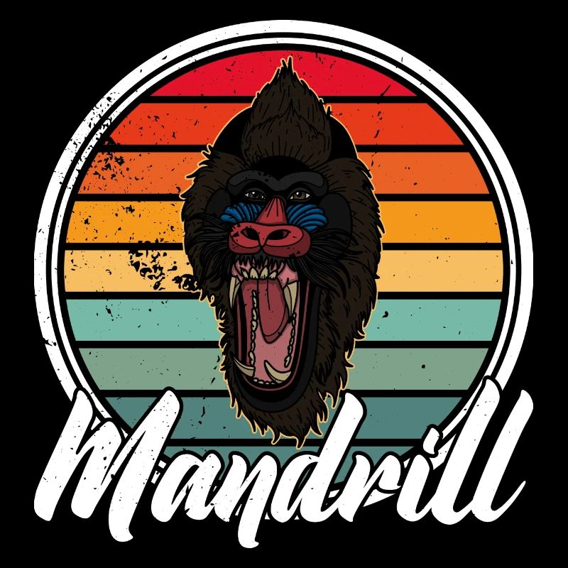 Mandrill Zoologe Primat Affe Afrika Tiere Wild