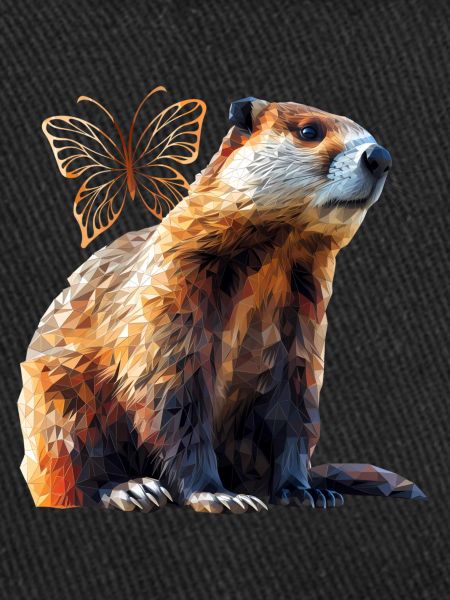 Castor
