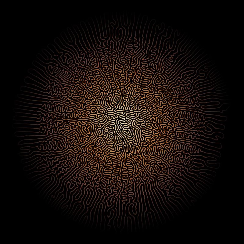 Mycélium de champignon (édition psychédélique)