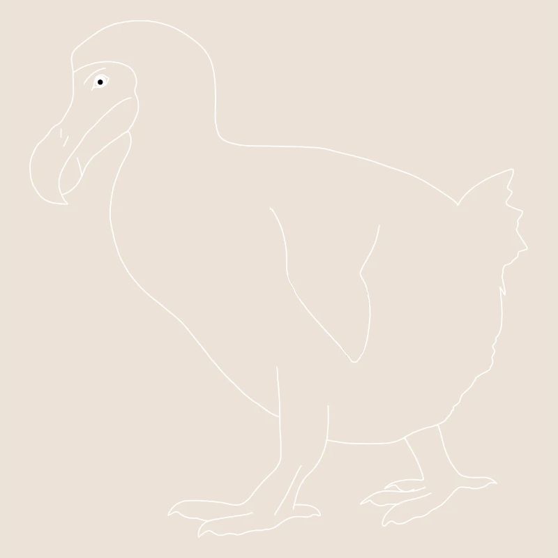 Dodo