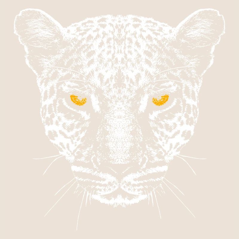 Leopard / Head / Eyes