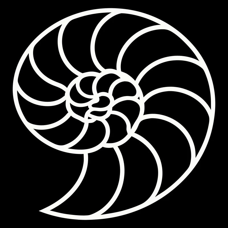 Weiße Nautilus-Spirale