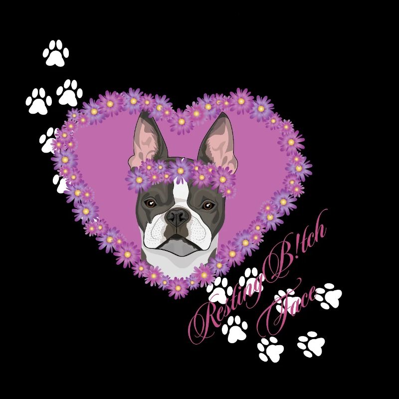 Ruhende B!tch Face Boston Terrier