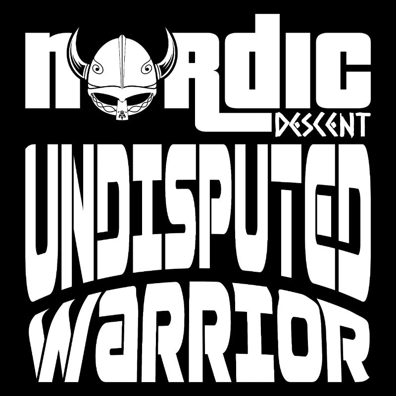 VIKINGS WARRIOR | NORDIC DESCENT V3