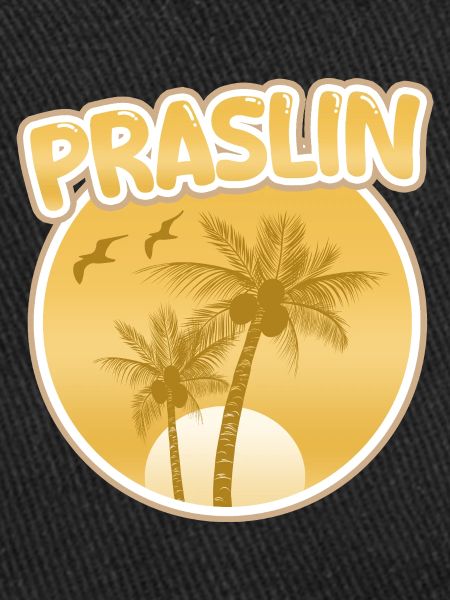 Cadeau pour Praslin