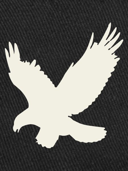Silhouette d’aigle en vol