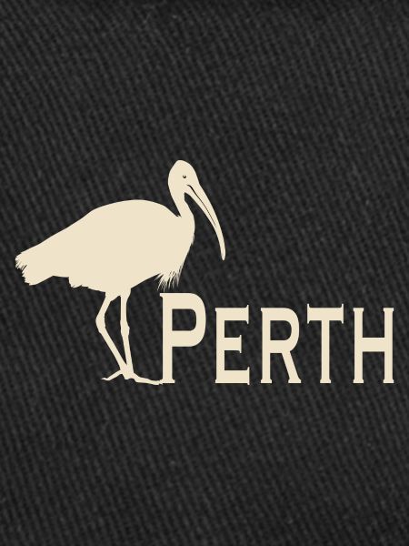 Bin Chicken Perth