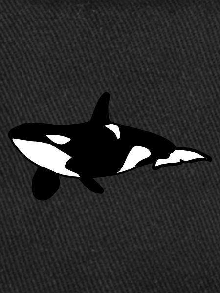 Orca Baleine mer