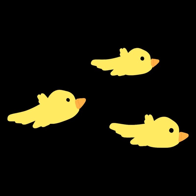 trois oiseaux symbole jaune mouche