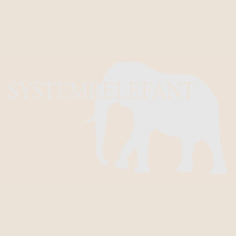 Systemrelefant - Systemrelevant