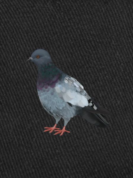 Dove