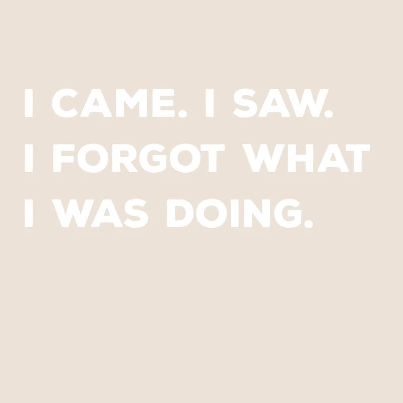 I came I saw I forgot what I was doing