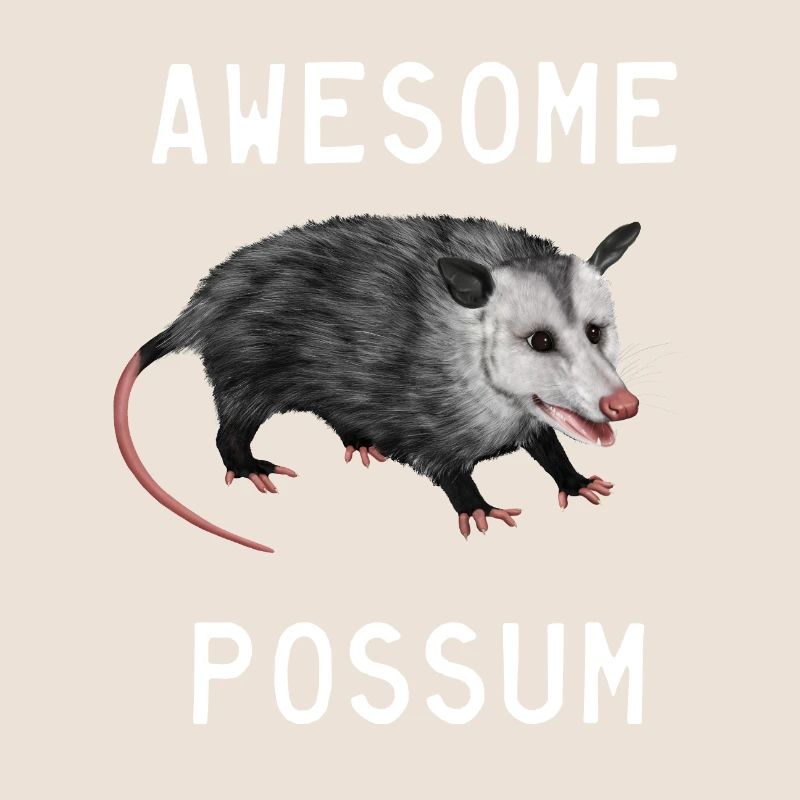 Possum - Awesome Possum