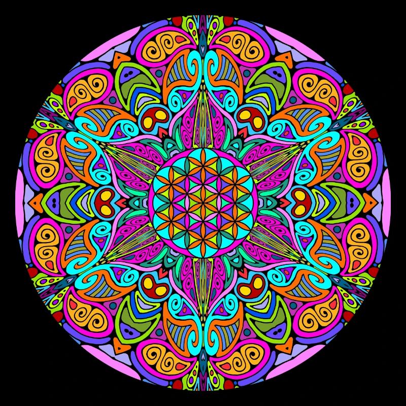 Fleur de vie dans un mandala 3