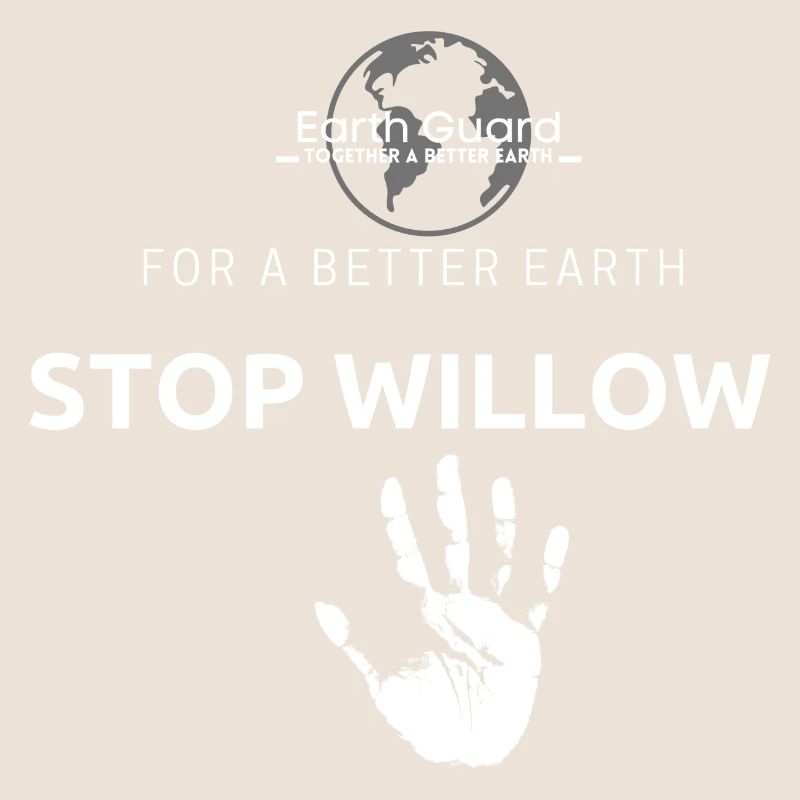 Projet Stop Willow