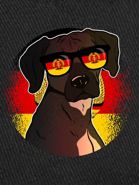 DDR