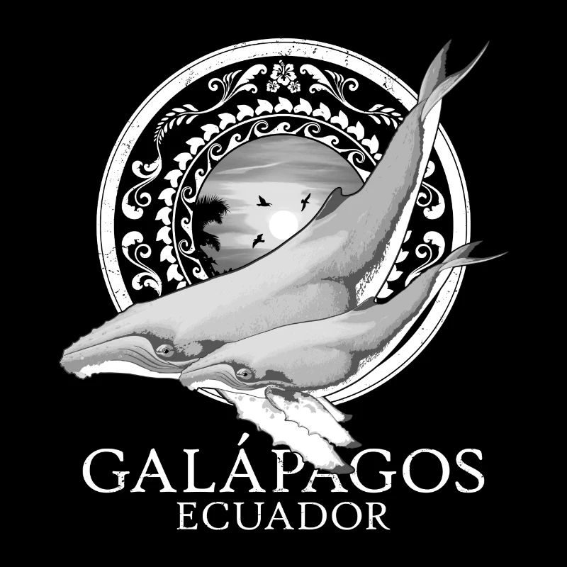 Humpback whales Galápagos Ecuador