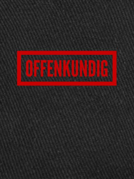 offenkundig