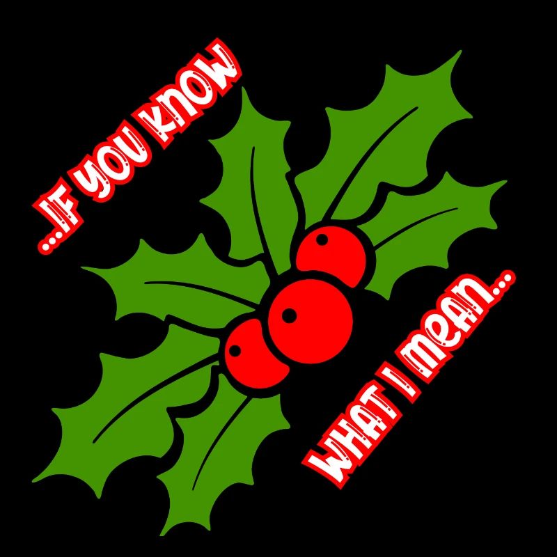 Drôle de gui de Noël