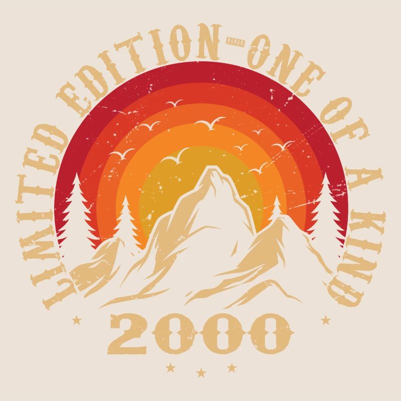 Vintage 2000 Retro 2000 Geburtstagsgeschenk 2000