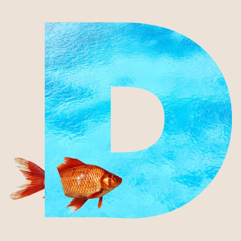 goldfisch d