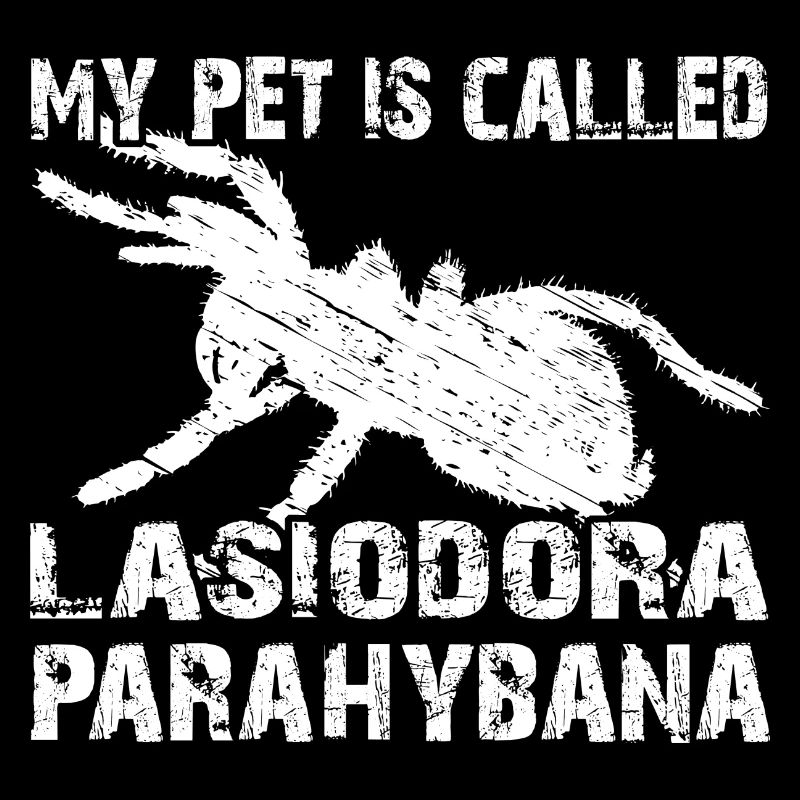 My pet's name is Lasiodora Parahybana
