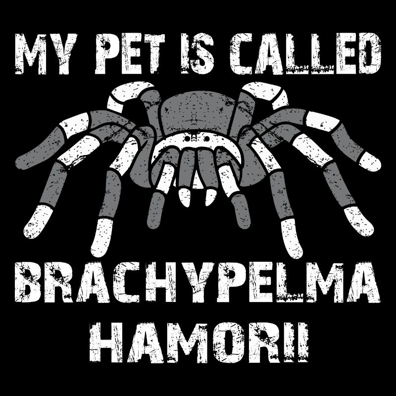 My pet's name is Brachypelma Hamorii