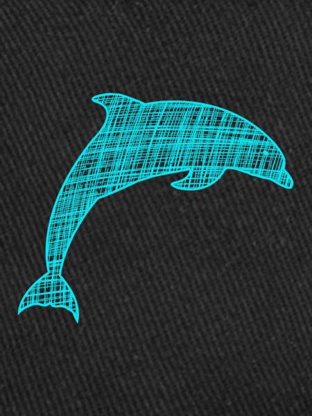 Delfin Dolphin
