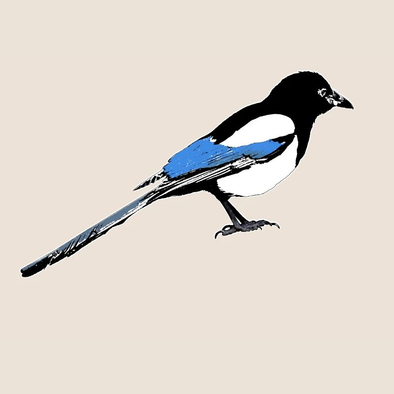 Magpie