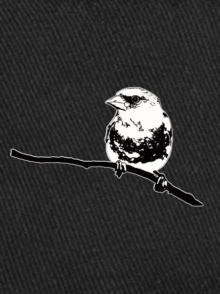 Verdier noir blanc