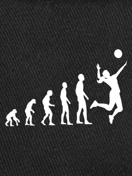 Volleyball Evolution