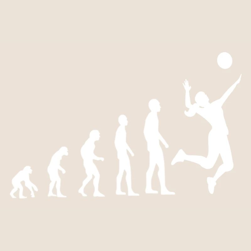 Volleyball Evolution
