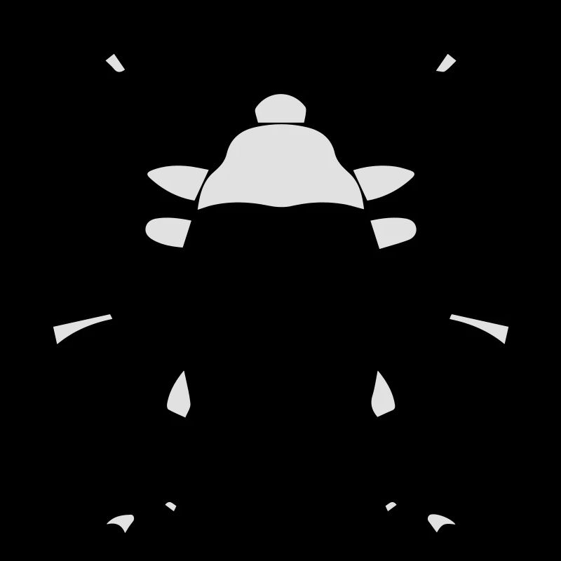 insect