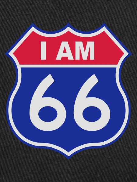 66 birthday