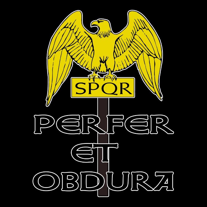 Römer Rom Römisch SPQR Roma Feldzeichen