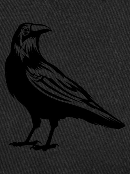 beautiful raven in black