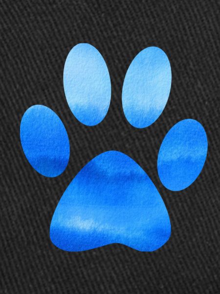 Patte bleue