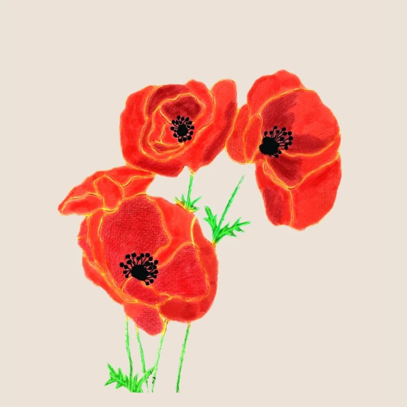Mohnblumen