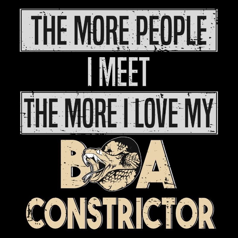 Boa Constrictor Snake Snake amour