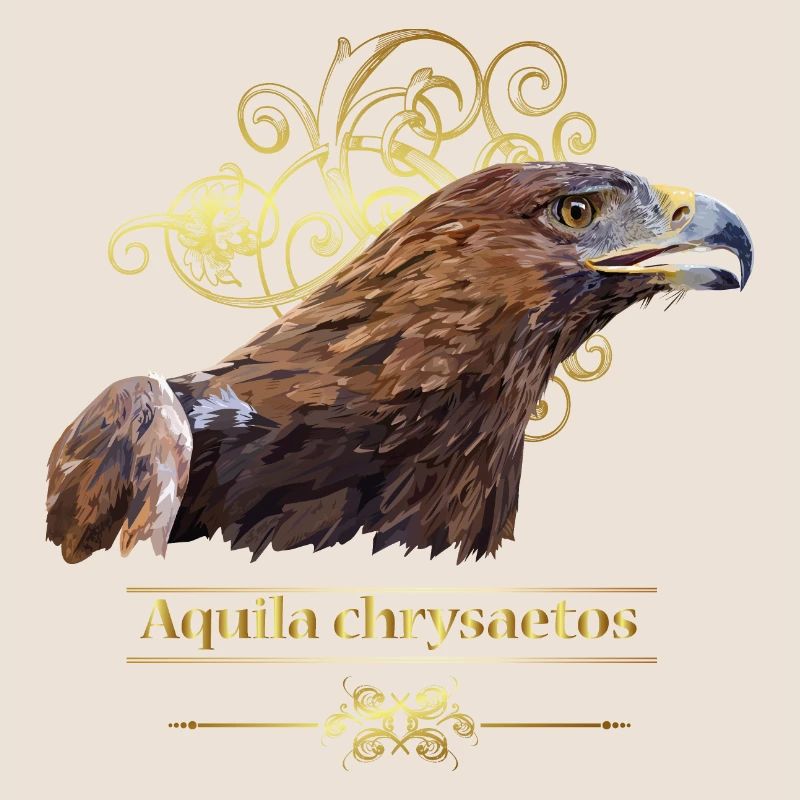 Golden Eagle