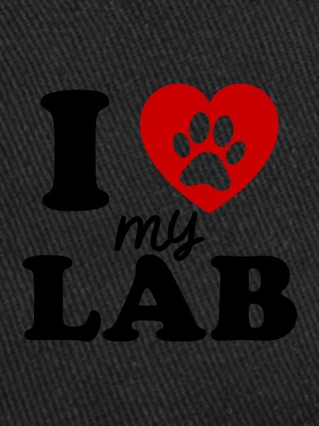 Labrador