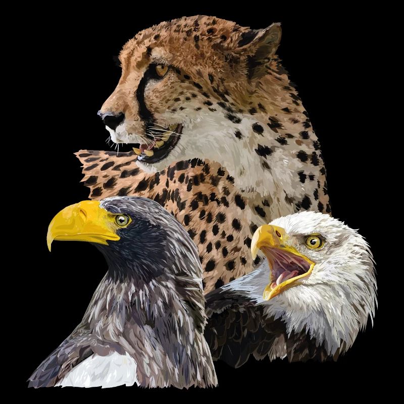 Guépard et pigargos