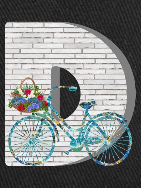 vélo e 100 d