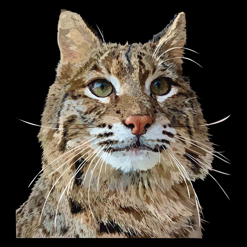 Lynx