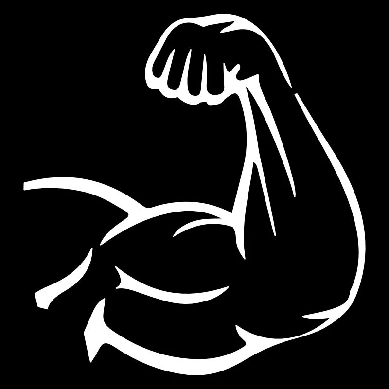Muscles du bras biceps