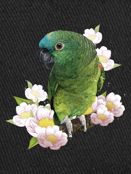 The blue-fronted amazon